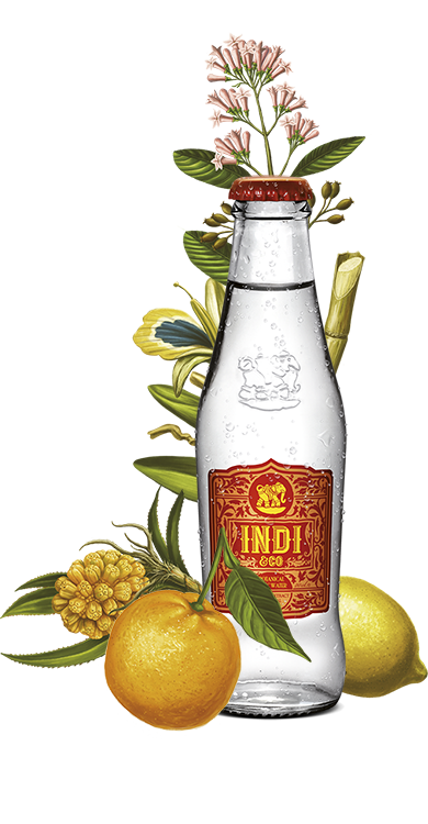 Indi Tonic (Premium Tonic) 20cl