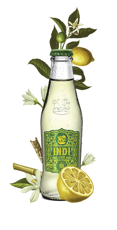 Indi Tonic (Premium Tonic) 20cl