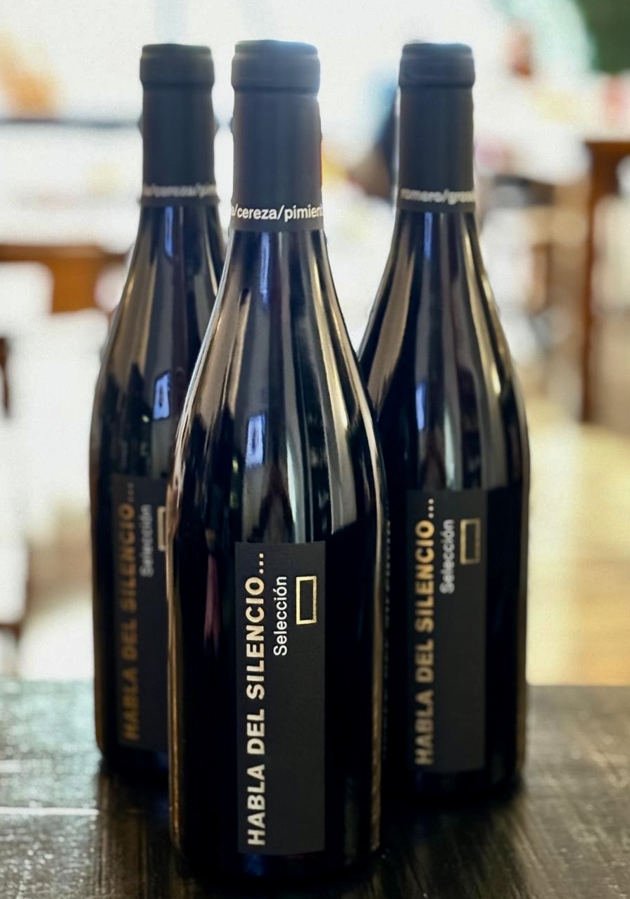 Habla del Silencio Selección 2023